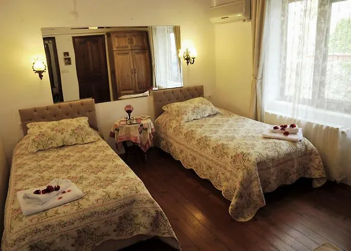 Gasthof Erguvanli Ev *